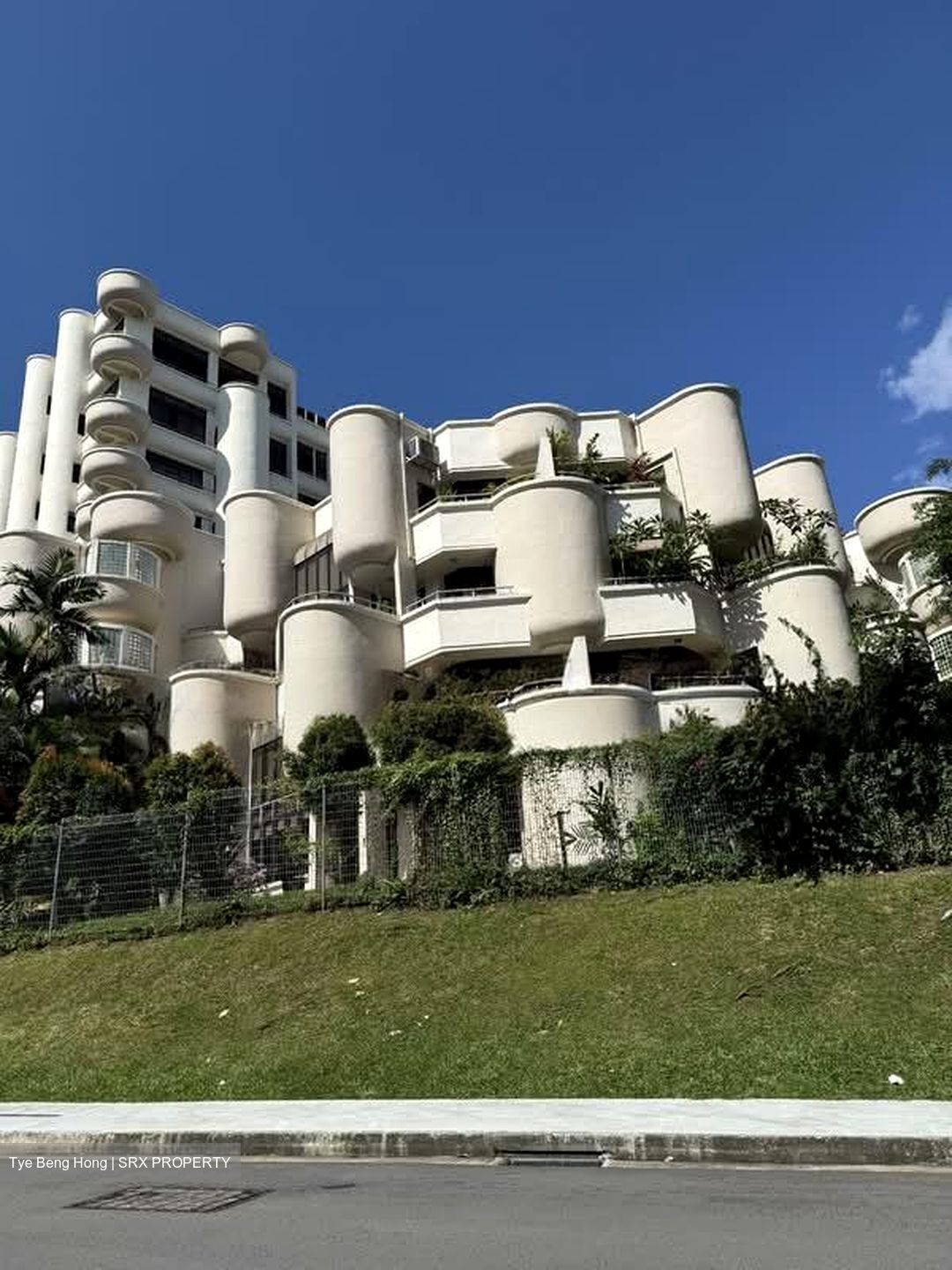 The Balmoral (D10), Condominium #553787071